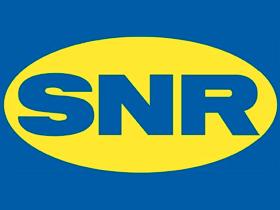 SNR R15022